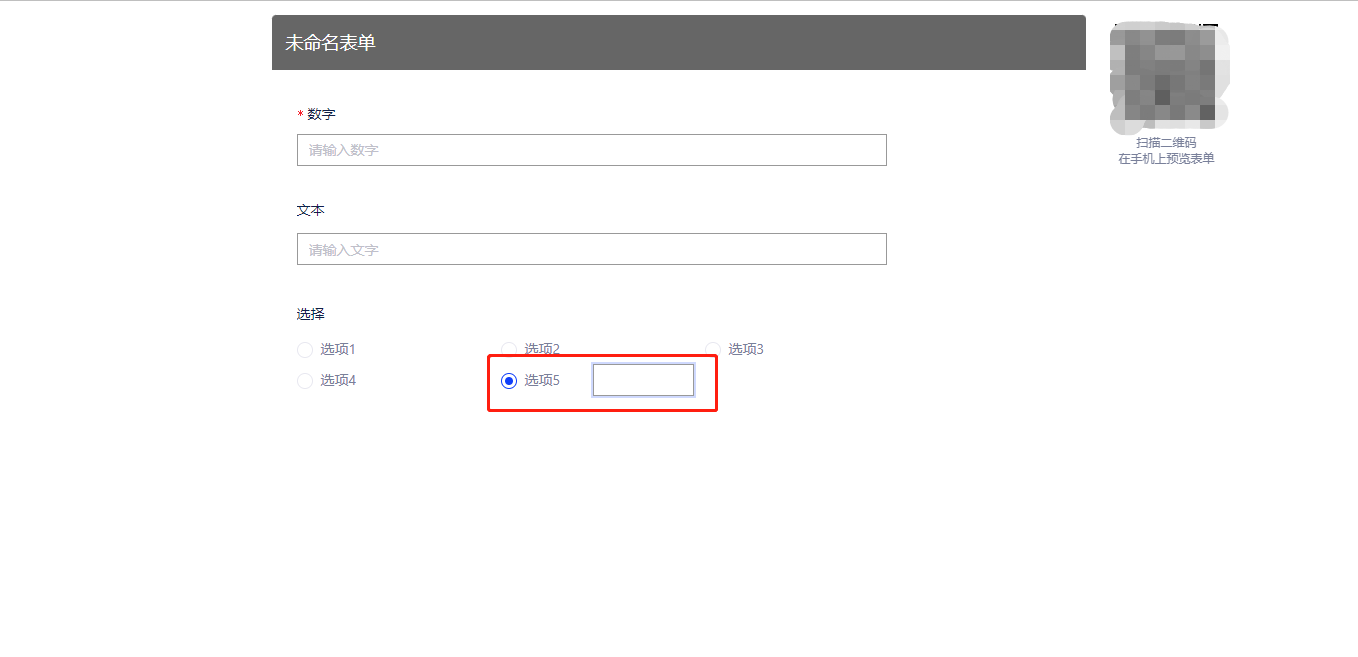 自定义选项.png 自定义选项.png